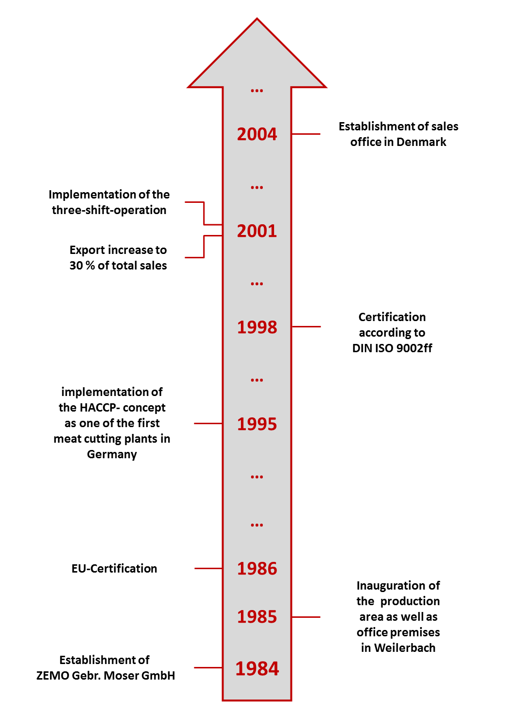 Zemo - History - 1984 to 2004