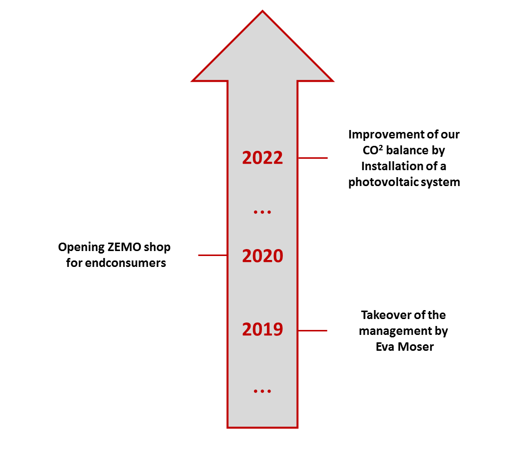 Zemo - History - 2019 to 2022