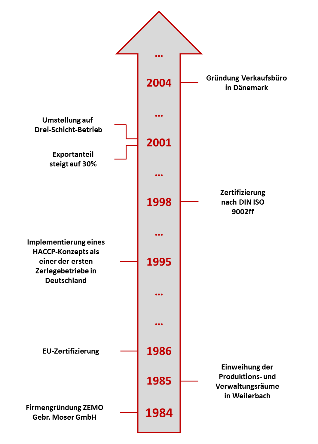 Zemo - Historie - 1984 bis 2004
